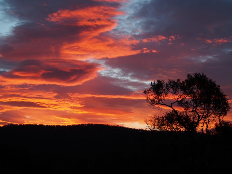 77 Bayview Drive, Blackstone Heights TAS 7250