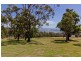 1248 Windermere Road, Swan Bay TAS 7252