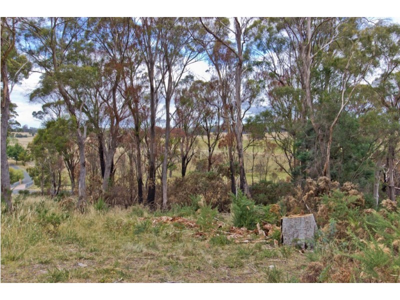 5 Westlake Drive, Travellers Rest TAS 7250