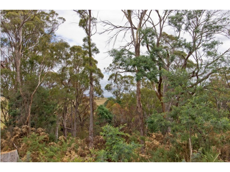5 Westlake Drive, Travellers Rest TAS 7250