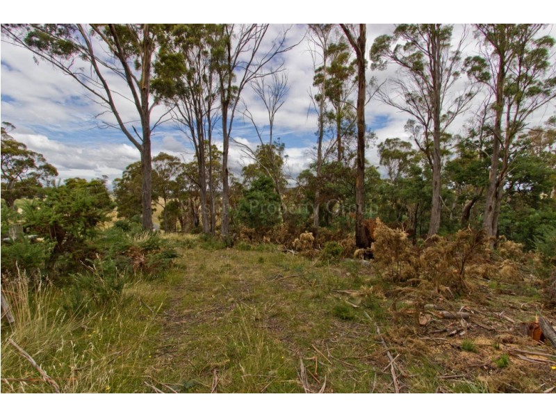 5 Westlake Drive, Travellers Rest TAS 7250