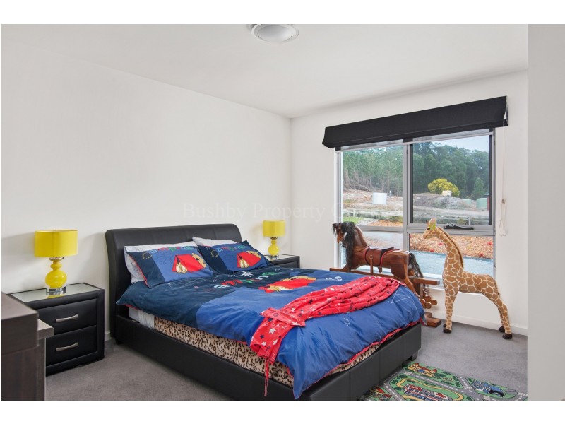 19 Chisholm Avenue, Clarence Point TAS 7270