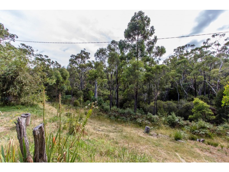 701 Greens Beach Road, York Town TAS 7270