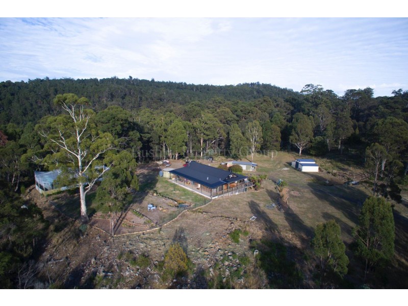802 Sawpit Hill Road, Blessington TAS 7212