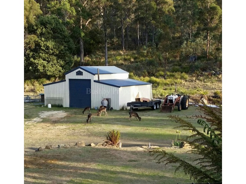 802 Sawpit Hill Road, Blessington TAS 7212