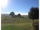 443 Relbia Road, Relbia TAS 7258