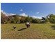 268 Los Angelos Road, Swan Bay TAS 7252