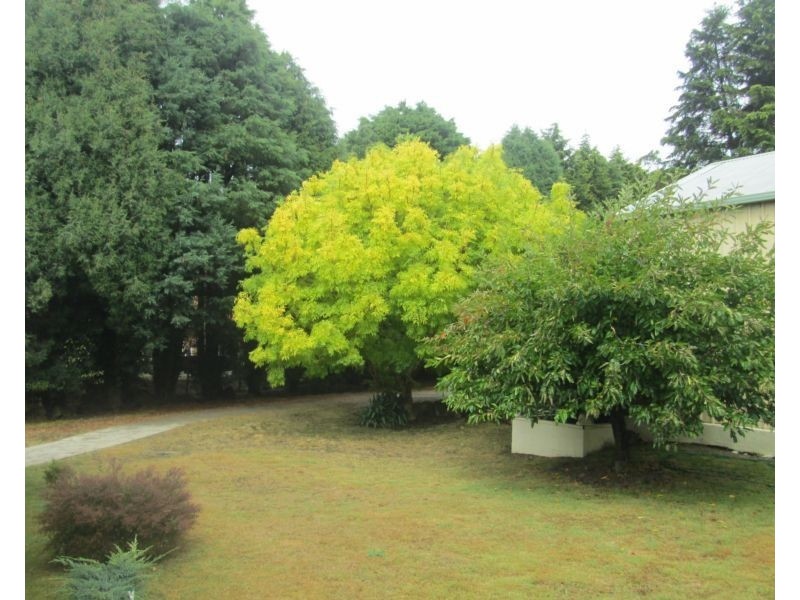 710 Deviot Road, Deviot TAS 7275