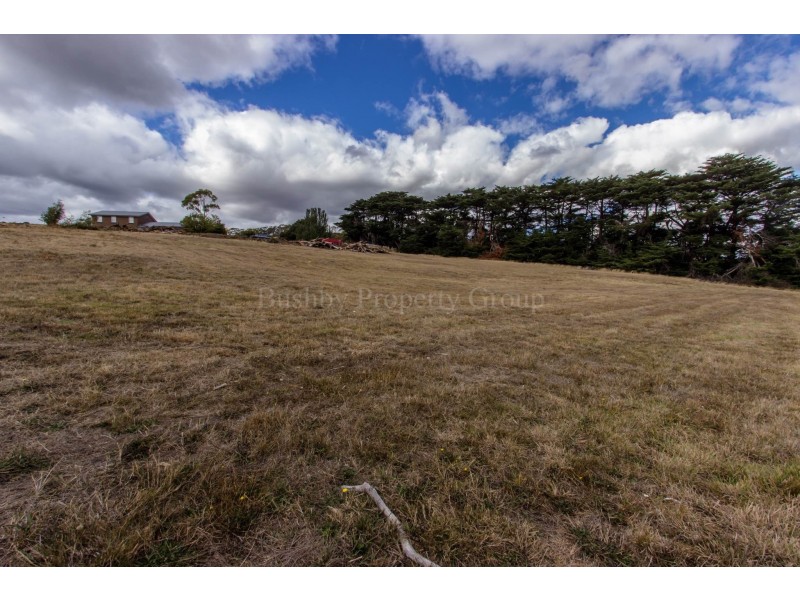Lot 4 Tenzing Drive, St Leonards TAS 7250