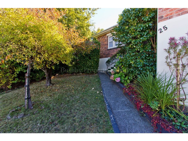 25 Robin Street, Newstead TAS 7250