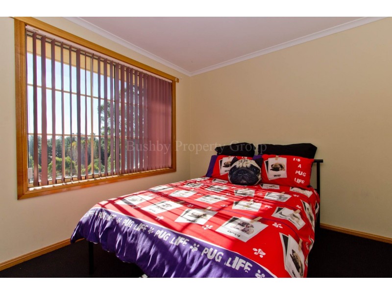 41 Allison Avenue, Riverside TAS 7250