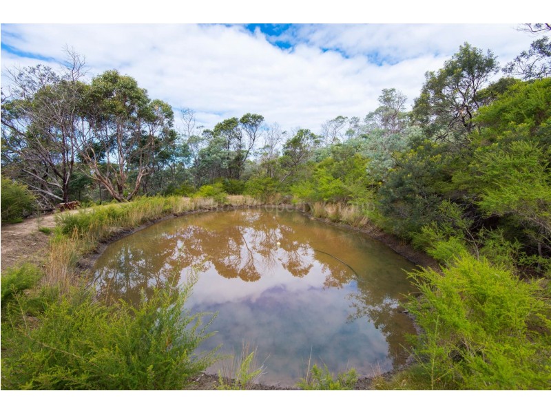 21384 Tasman Highway, Four Mile Creek TAS 7215
