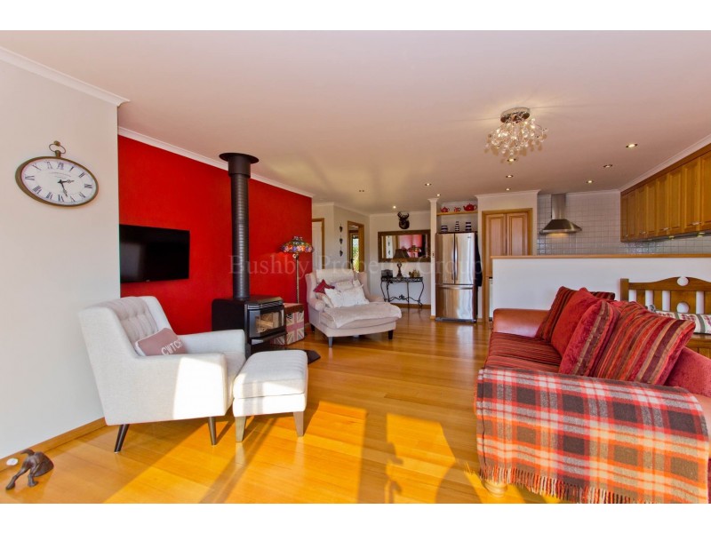 17 Burton Street, Hillwood TAS 7252