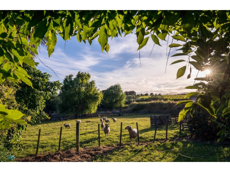 268 Relbia Road, Relbia TAS 7258