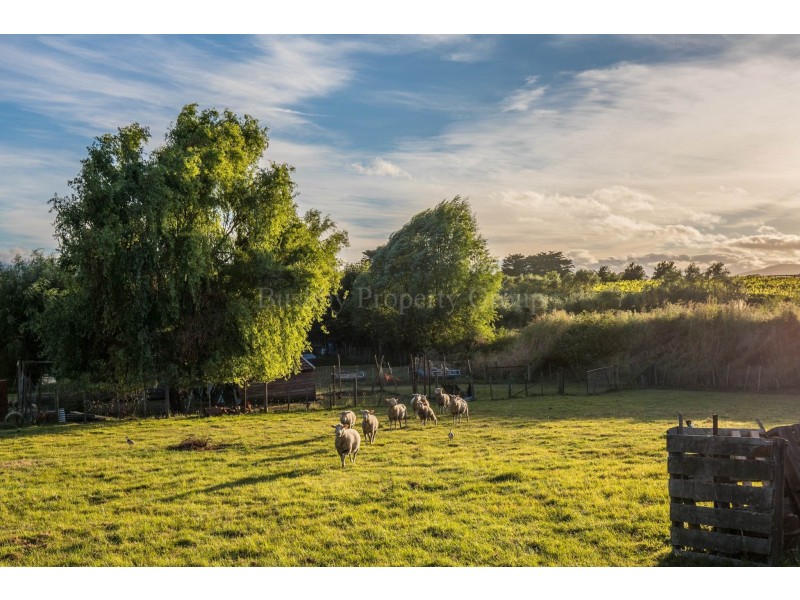268 Relbia Road, Relbia TAS 7258