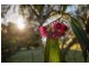 268 Relbia Road, Relbia TAS 7258