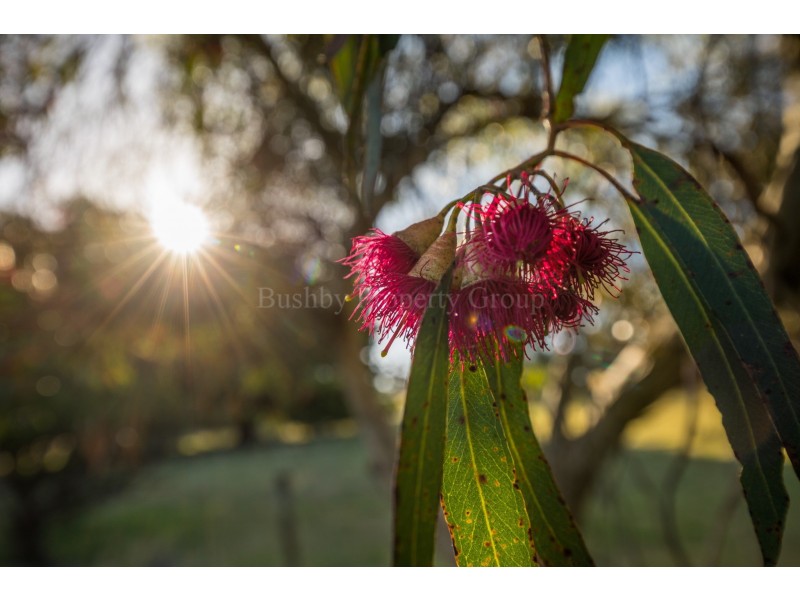 268 Relbia Road, Relbia TAS 7258