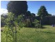 119 Fairtlough Street, Perth TAS 7300
