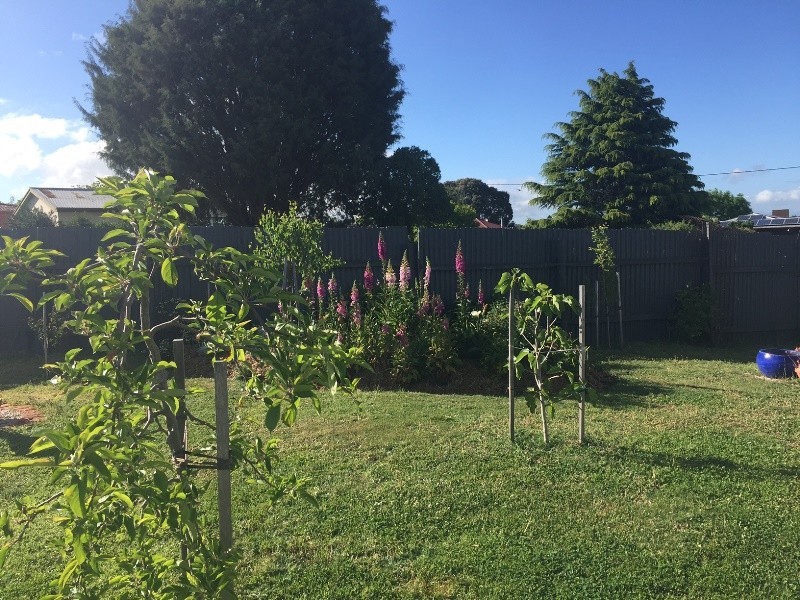 119 Fairtlough Street, Perth TAS 7300