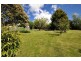 451 West Tamar Road, Riverside TAS 7250