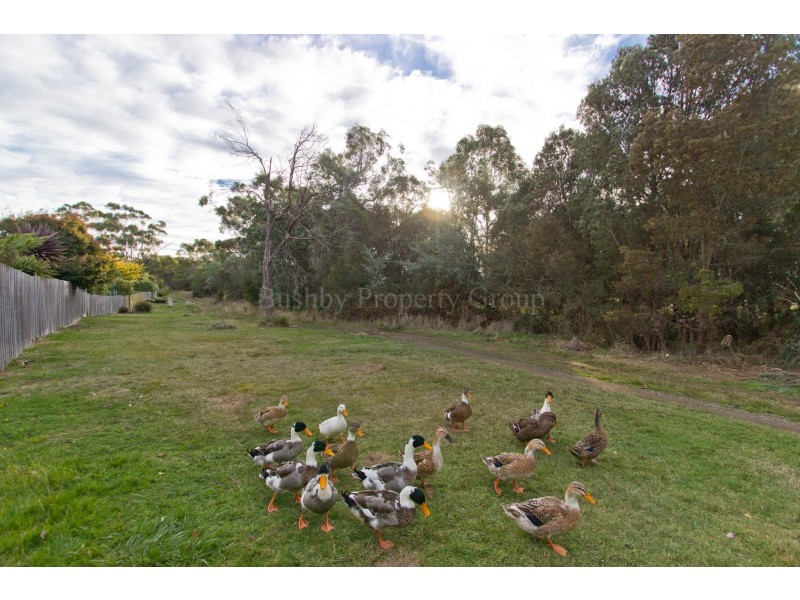 72 Harley Parade, Prospect Vale TAS 7250