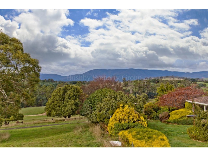 21A Ada Street, Scottsdale TAS 7260