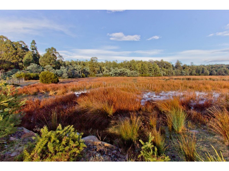 36 Berne Court, Grindelwald TAS 7277