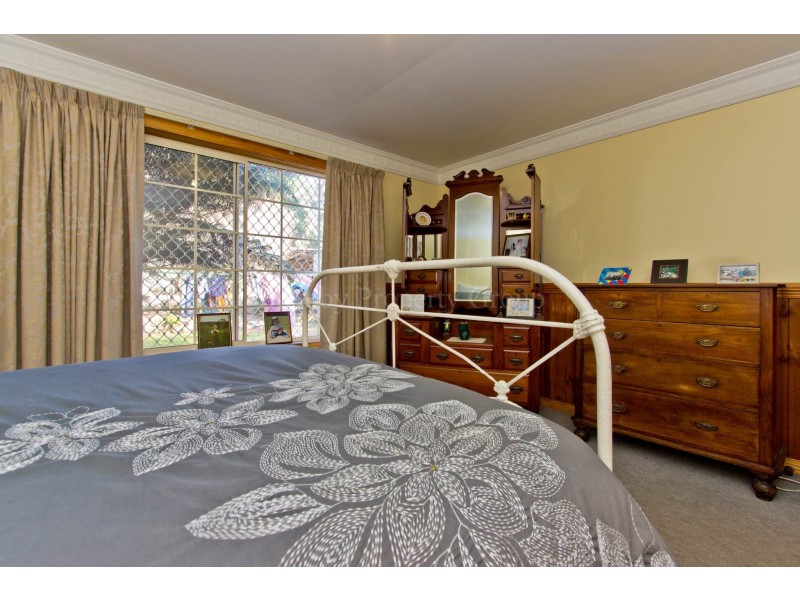 77 George street, Scottsdale TAS 7260