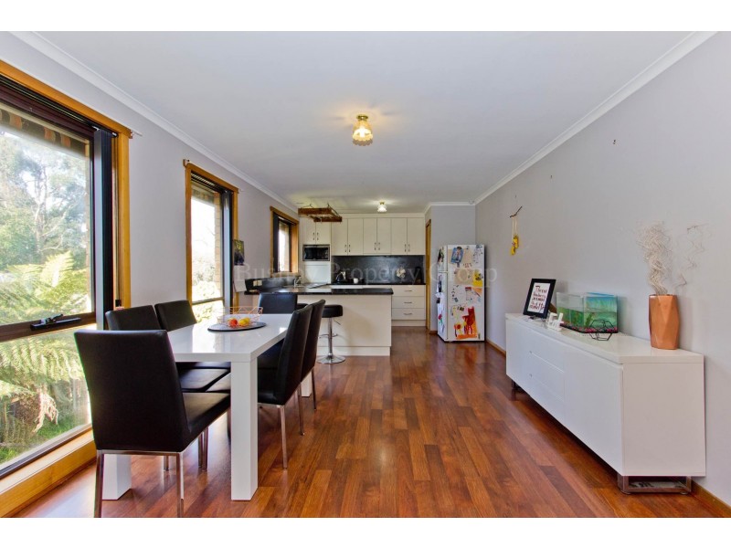 71 Viewbank Road, Newnham TAS 7248
