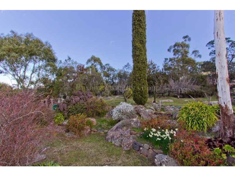 1 Cooper Crescent, Riverside TAS 7250