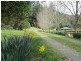 1651 Lilydale Road, Underwood TAS 7268