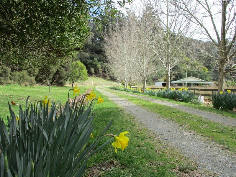1651 Lilydale Road, Underwood TAS 7268