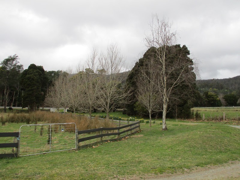 1651 Lilydale Road, Underwood TAS 7268
