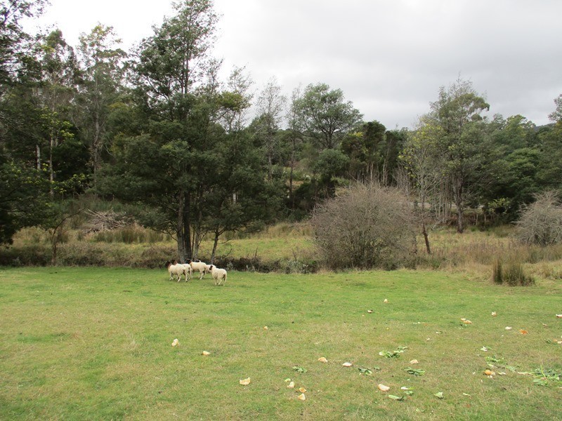 1651 Lilydale Road, Underwood TAS 7268