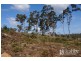 9 Atratus Rise, Swan Bay TAS 7252