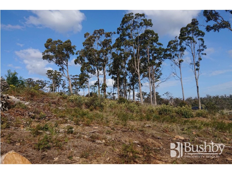 9 Atratus Rise, Swan Bay TAS 7252