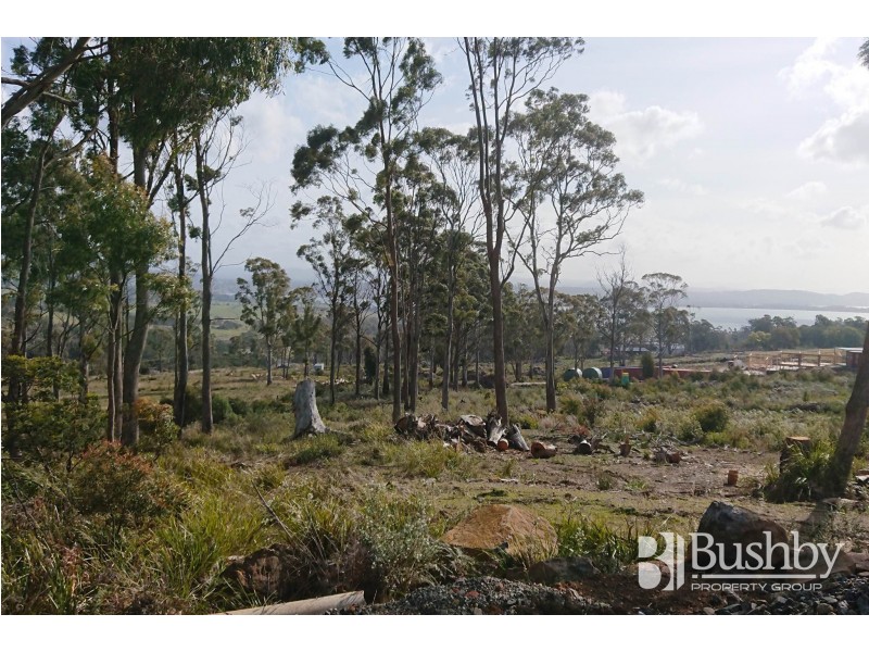 9 Atratus Rise, Swan Bay TAS 7252