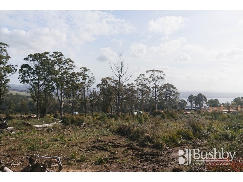 9 Atratus Rise, Swan Bay TAS 7252