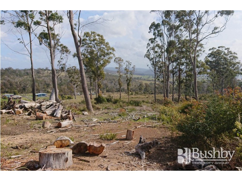 9 Atratus Rise, Swan Bay TAS 7252