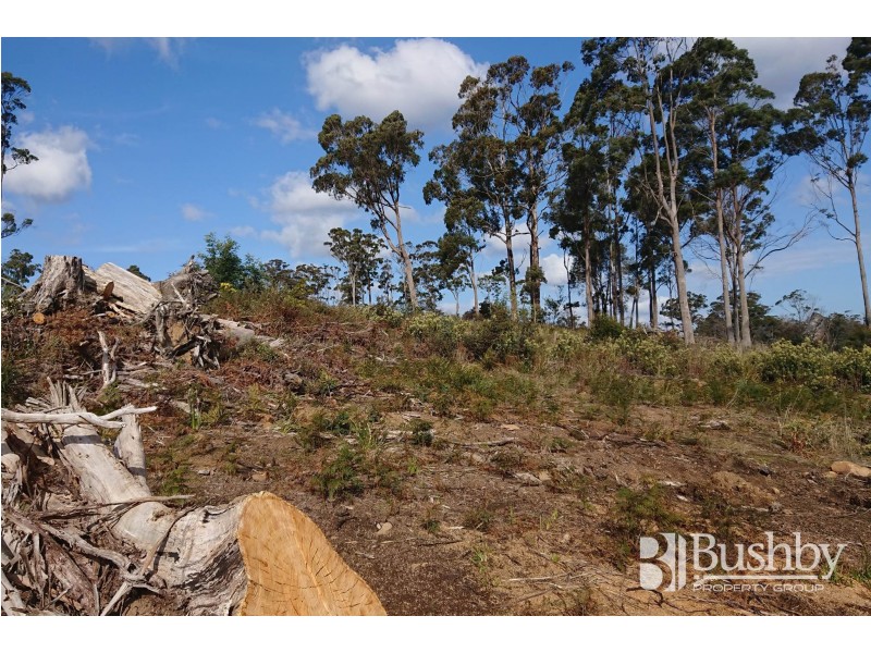 9 Atratus Rise, Swan Bay TAS 7252