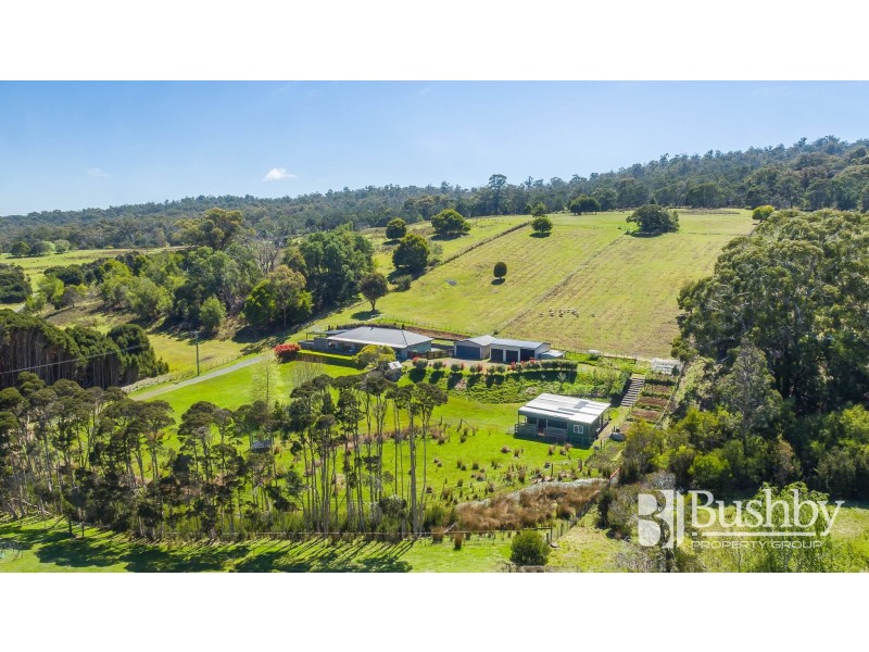 48 Swan Drive, Swan Bay TAS 7252