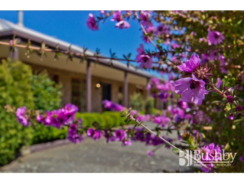 39 Atkinsons Road, Grindelwald TAS 7277