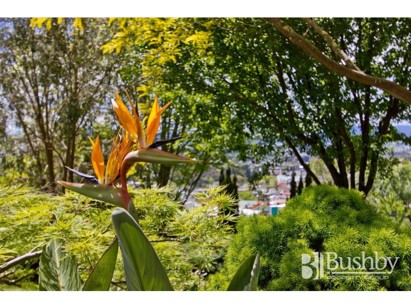 35-37 Eurella Street, Kings Meadows TAS 7249