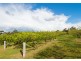 315 Medeas Cove Road, St Helens TAS 7216