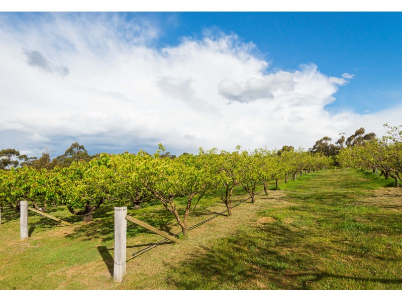 315 Medeas Cove Road, St Helens TAS 7216