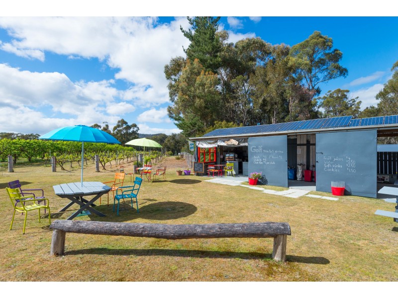 315 Medeas Cove Road, St Helens TAS 7216