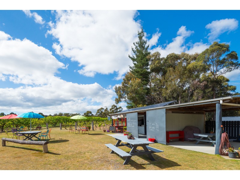 315 Medeas Cove Road, St Helens TAS 7216