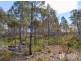 PID6832078/PID6831821 Honeysuckle Road, Tooms Lake TAS 7209
