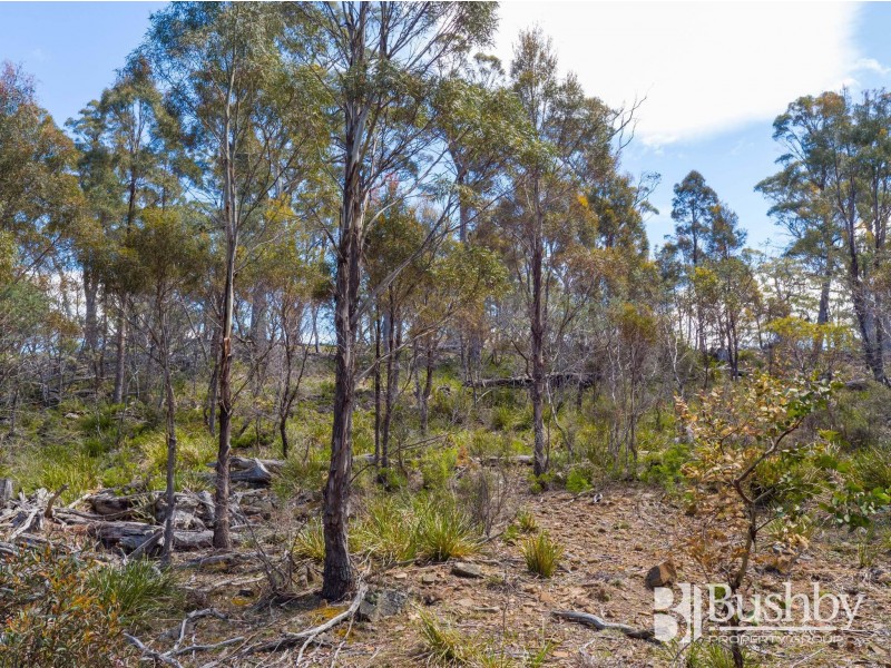 PID6832078/PID6831821 Honeysuckle Road, Tooms Lake TAS 7209