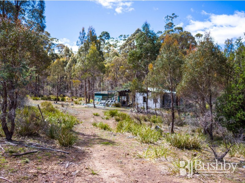 PID6832078/PID6831821 Honeysuckle Road, Tooms Lake TAS 7209